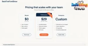 BackToFrontShow Pricing